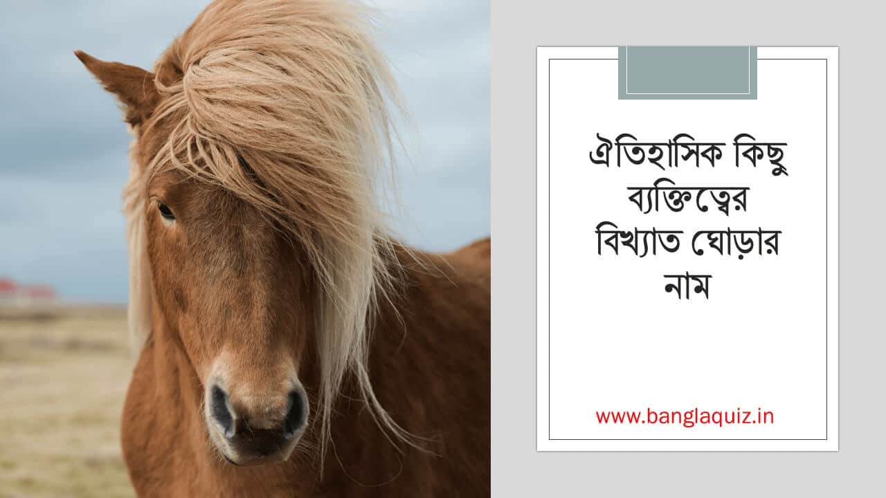 ঐত হ স ক ক ছ ব যক ত ত ব র ব খ য ত ঘ ড র ন ম Pdf ব ল ক ইজ