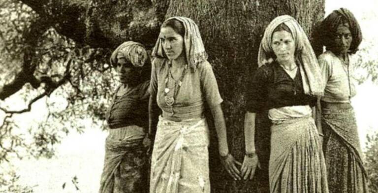 chipko-movement