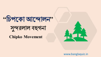 চিপকো আন্দোলন - সুন্দরলাল বহুগনা