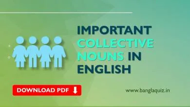 Important Collective Nouns in English