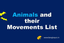 Animals and their Movements List