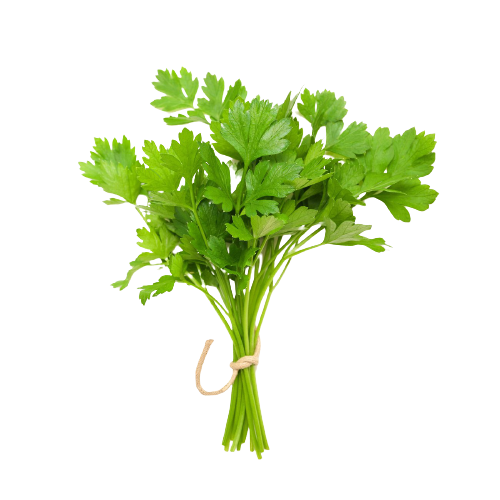  Coriander Leaves - ধনেপাতা 