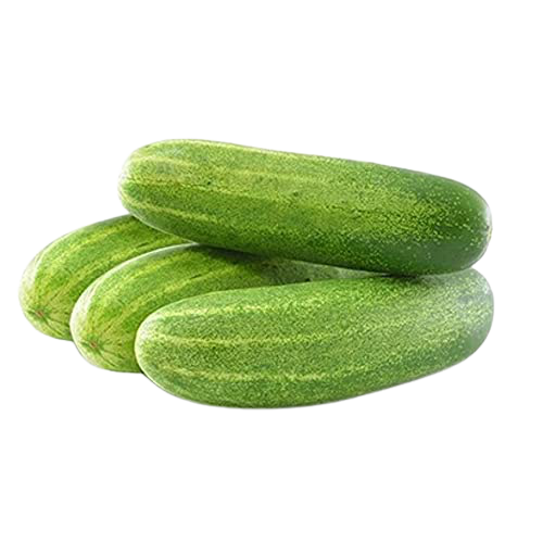 Cucumber - শশা 