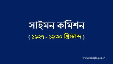 সাইমন কমিশন