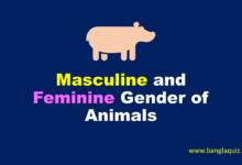 Masculine and Feminine Gender of Animals