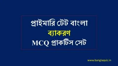 প্রাইমারি টেট বাংলা ব্যাকরণ MCQ