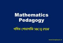 Mathematics Pedagogy